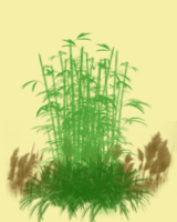 Gras